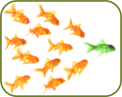 Fish_for_leadership